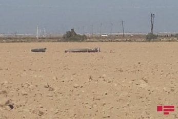Ermənilərin Xızı rayonu ərazisinə atdığı "S-300" raketinin qalıqları götürülür - ANAMA