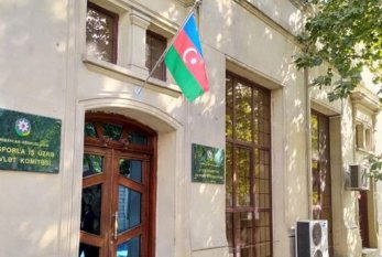 Dövlət Komitəsi Azərbaycan diasporuna MÜRACİƏT ETDİ