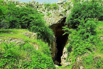 Azıx mağarasına aid arxeoloji tapıntılar Bakıya gətirildi 