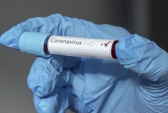 Azərbaycanda bir sutkada 799 nəfər koronavirusa yoluxdu, ölüm sayı azaldı