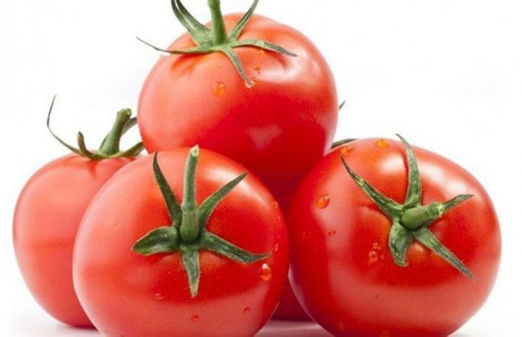 51 pomidor və 37 alma istehsalı müəssisəsinin Rusiyaya məhsul ixracına icazə verilib 