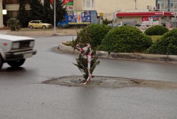 Sumqayıtda yoldakı “lyuk”a şam ağacı basdırılıb - Foto