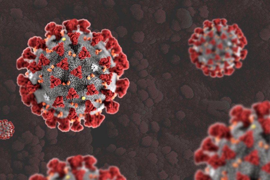 Koronavirus sertifikatının kimlərə veriləcəyi AÇIQLANDI