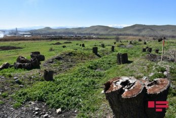 Ermənistan ekoloji terror törədib - XARİCİ DİPLOMATLAR QUBADLIDA