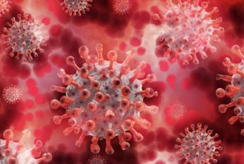 Koronavirus ABŞ laboratoriyalardan sıza bilər - ÇİN