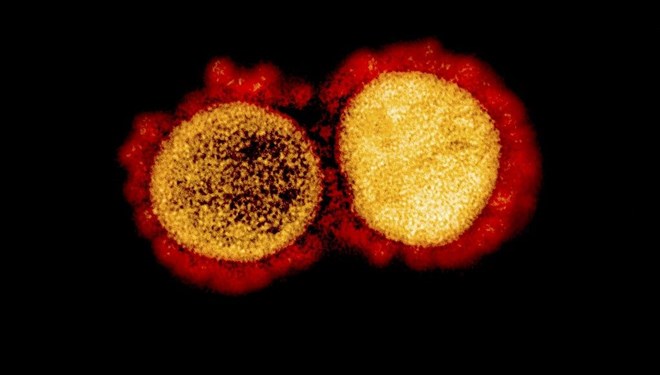 Koronavirusun "ikili mutasiya"sı ABŞ-da da AŞKARLANDI