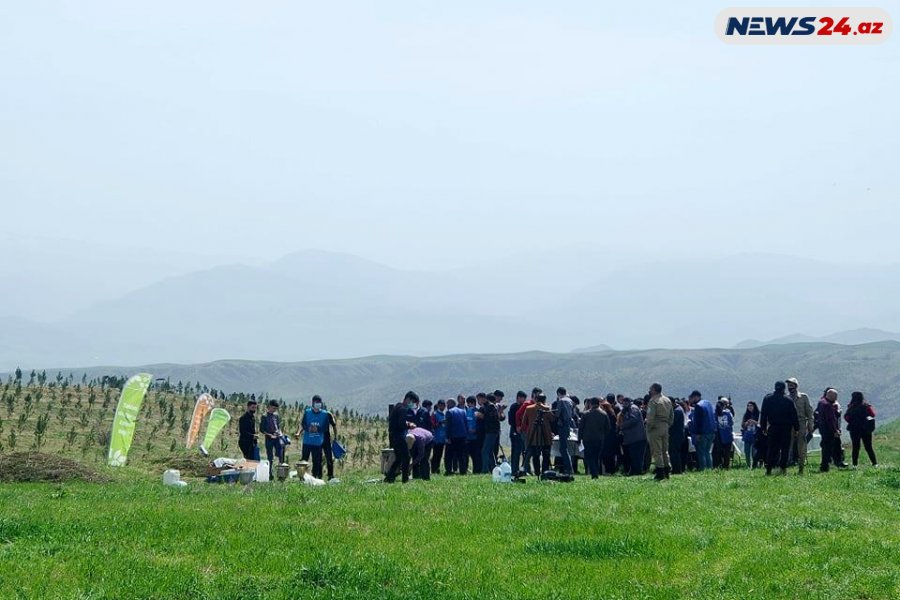 Jurnalistlər "Yaşıl marafon"a qatıldı - Zəngilanda - FOTO -VİDEO