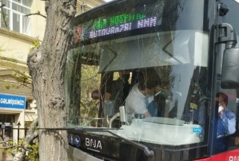 "BakuBus"un avtobusu ağaca çırpılıb, xəsarət ALANLAR VAR