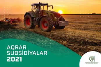 Azərbaycan fermerlərinə 121 milyon manatdan çox subsidiya ödənilib 
