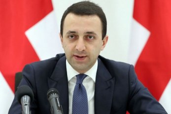 "Gürcüstan Azərbaycanla sərhədin delimitasiyasına hazırdır" - BAŞ NAZİR