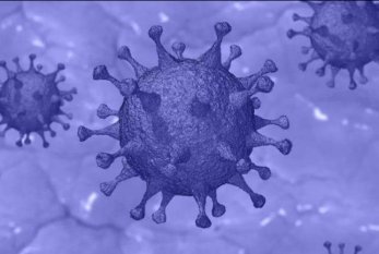 Bu ölkə koronavirus mutasiyalarının mərkəzinə çevrilə bilər 