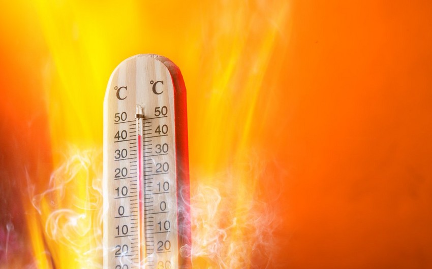 "16 gündür havanın maksimal temperaturu 35 dərəcədən yüksəkdir"- Umayra Tağıyeva