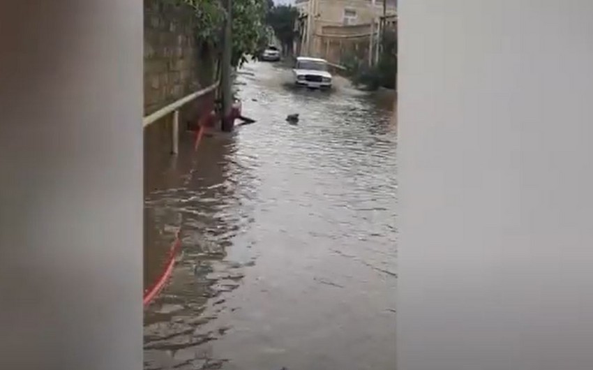 FHN: "Subasmaya məruz qalan ərazilərdən yağış suları kənarlaşdırılıb" 
