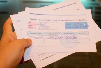 Saxta COVID-19 pasportu satan şəxsə CİNAYƏT İŞİ AÇILDI