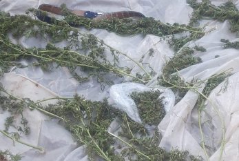 Narkotik satan şəxsdən 9 kq marixuana götürüldü - FOTO