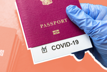 Saxta “COVİD-19” pasportunun verilməsi faktı ilə bağlı cinayət işi başlanıldı 