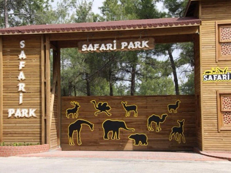 Şamaxının “Xan”ı, gözəl gözlü alpakalar, “Panorama”da maral steyki – Safari Parkdan reportaj