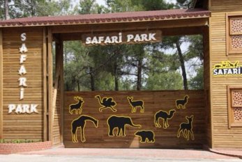 Şamaxının “Xan”ı, gözəl gözlü alpakalar, “Panorama”da maral steyki – Safari Parkdan reportaj