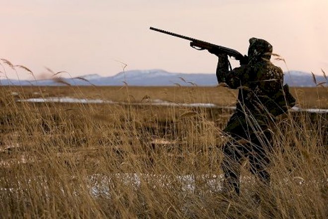 “Qırmızı kitab”a düşmüş quşları ovlayan şəxslər saxlanıldı 