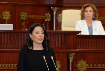Ombudsman beynəlxalq təşkilatları Ermənistan barədə qəti tədbirlər görməyə çağırdı 