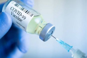 Vaksin olunanların SAYI AÇIQLANDI