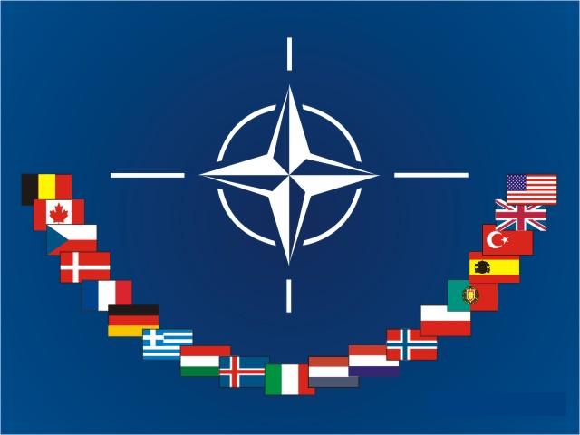 NATO: "Ukraynaya qoşun göndərməyi planlaşdırmırıq" 