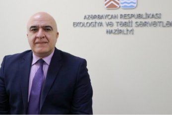 Hikmət Əlizadə: "Yaşıllıqları daha çox tikinti şirkətləri məhv edir" 