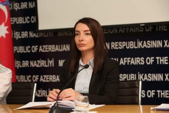 Leyla Abdullayeva Ermənistan xarici işlər nazirinə cavab verdi 