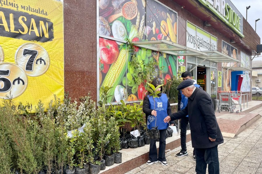 “Bir ağac-min nəfəs” devizi altında ting paylama aksiyası davam edir 