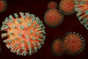 Çexiyada koronavirusun XE variantı aşkarlandı 