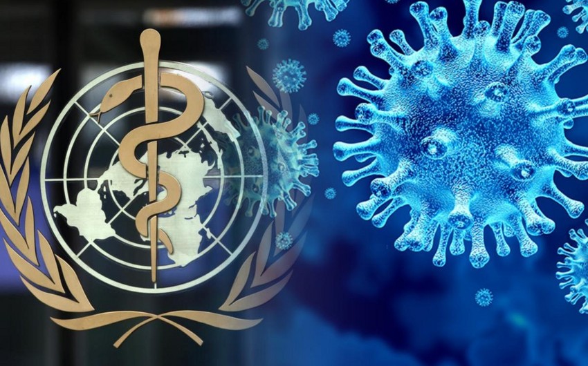 2020-2021-ci illərdə 14,9 milyondan artıq insan koronavirusdan ölüb 