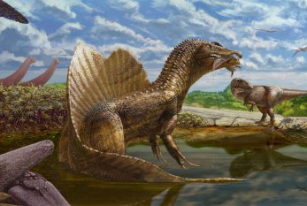Misirdə qolsuz dinozavrların fosilləri tapıldı 