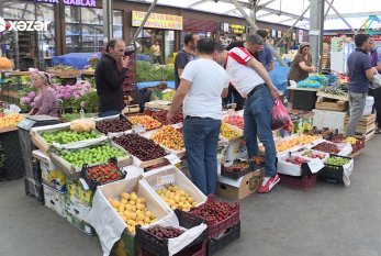 Bölgələrdən ucuz alınan meyvələr Bakıda baha satılır – QİYMƏTLƏR