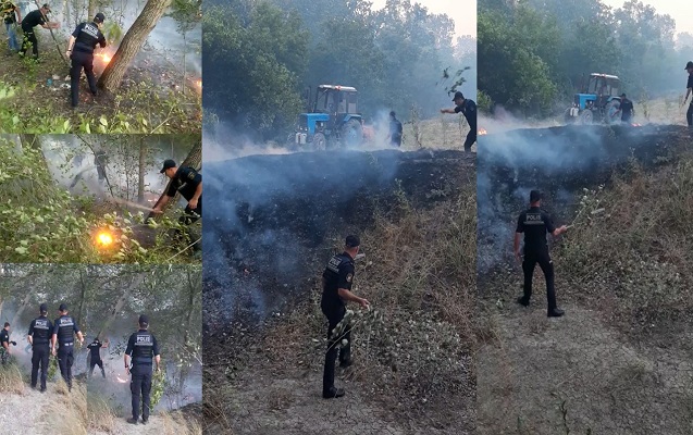 DİN: Şabrandakı yanğında xəsarət alan olmayıb 