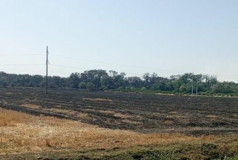 Şabrandakı yanğınla əlaqədar 1 nəfər məsuliyyətə cəlb edildi -FOTO