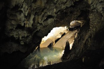 Mağaralarda naməlum həyat formaları aşkar edildi - FOTO