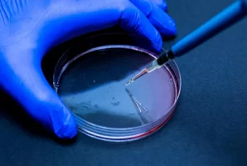 Yeni ölümcül bakteriya aşkarlandı 