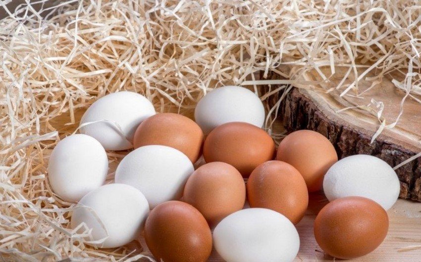 Yumurtanın bahalaşmasının səbəbi AÇIQLANDI