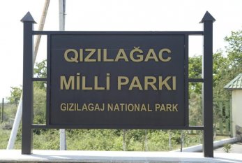 Qızılağac Milli Parkının mühafizə rejimini pozan şəxs cəzalandırıldı 