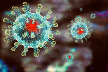Koronavirus daha DÖRD CAN ALDI