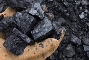Göygöldə qanunsuz kömür istehsalı ilə bağlı protokol tərtib olunub 
