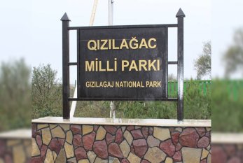 Qızılağac Milli Parkında brakonyerlərə məxsus qayıqlar aşkar edildi 