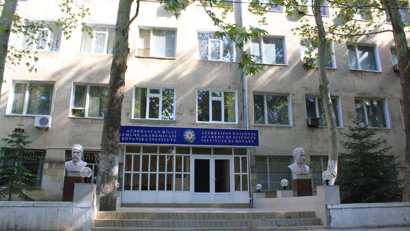 Bakıda bu institut köçürülür - SƏBƏB