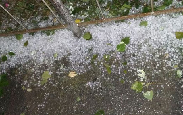 Bu rayonlara dolu düşüb - Faktiki hava