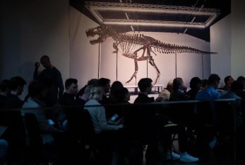 67 milyon illik dinozavr skeleti üçün 6,2 milyon dollar ödədi
