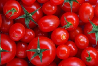 Pomidor niyə bahadır? – Ekspert nazirliyi günahlandırdı