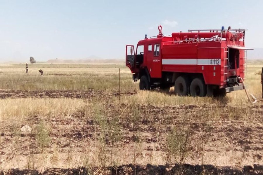 Naxçıvanda taxıl sahəsində yanğın olub - FOTO