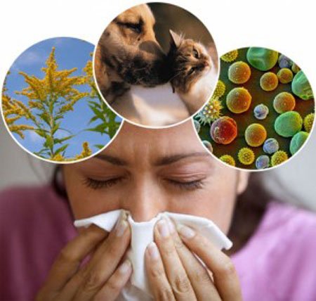 Allergiya: Onun müalicəsi yoxdur?