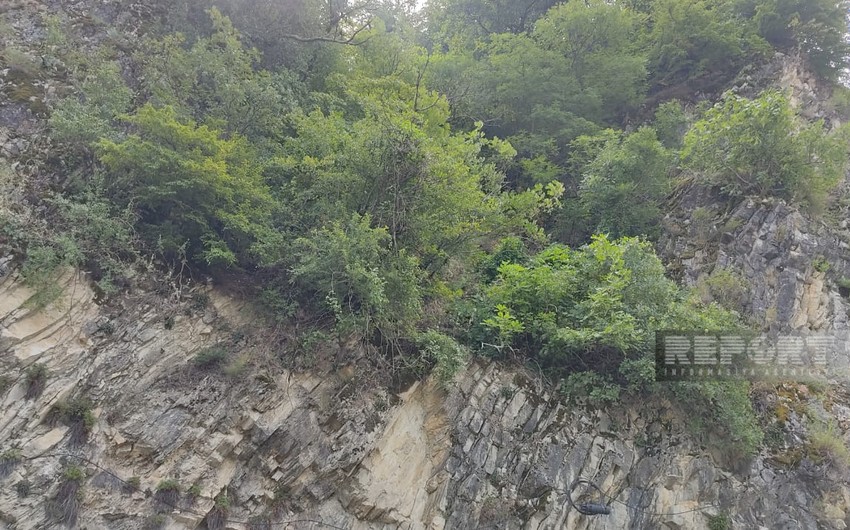 Zaqatalada turistlərin axtarışları davam edir