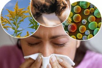 Allergiya: Onun müalicəsi yoxdur?